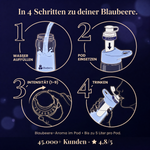 Blaubeere Infused — In 4 Schritten zur Blaubeere.